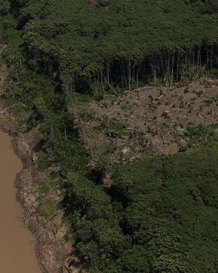 Imagem de um garimpo aberto no meio da floresta amazônica à beira de um rio